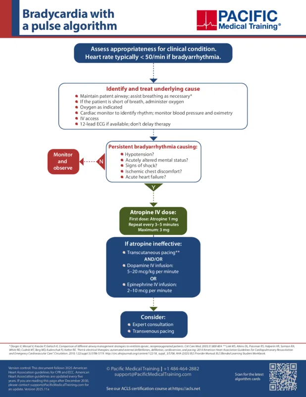 ACLS bradycardia algorithm: Assessments and actions PDF preview