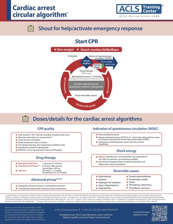 ACLS Secondary Survey for a Patient in Respiratory Arrest Download